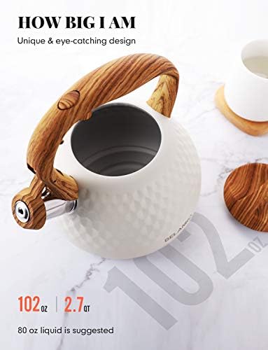 Stainless Steel Tea Kettle Effortlessly Boils 27 Quart