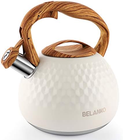 Stainless Steel Tea Kettle Effortlessly Boils 27 Quart