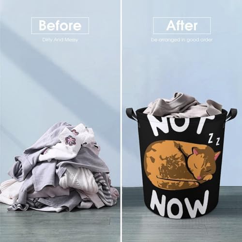 Effortlessly Clean Your Space with Our Cute Cat Lazy Laundry Basket