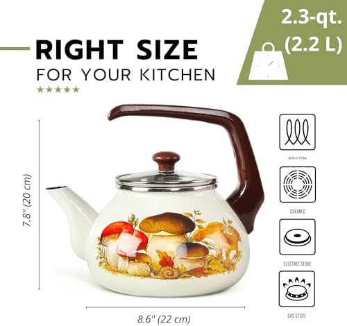 Enameled Aluminum Tea Kettle