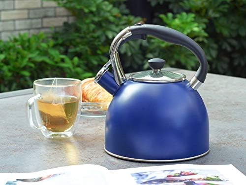 Vivid Design stainless steel tea kettle 26 Quart