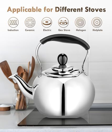 DCLOBTop 23 Quart Round Stovetop Tea Kettle with Silver Mirror Finish