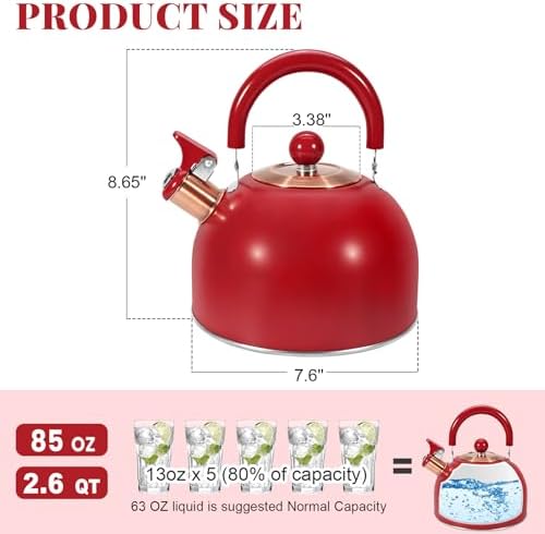 LARGE CAPACITY 85OZ26QT STEMLESS STEAK KETTLE