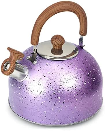 Sturdy Whistling Design Premium Stainless Steel Tea Kettle for Home Use