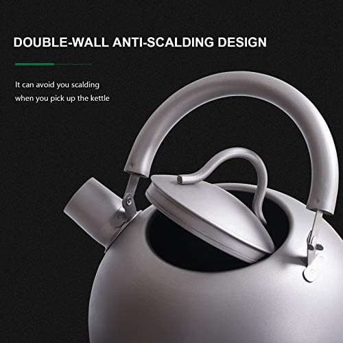 iBasingo 2L Titanium Whistling Tea Kettle