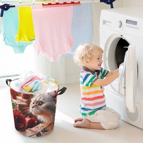 Raindrops Roses Collapsible Cat Laundry Basket
