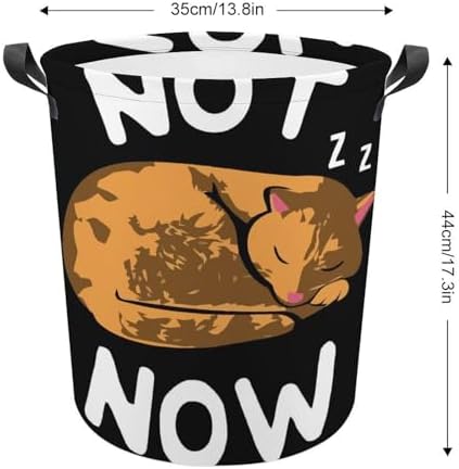 Effortlessly Clean Your Space with Our Cute Cat Lazy Laundry Basket