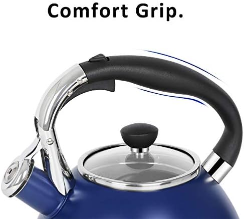 Vivid Design stainless steel tea kettle 26 Quart