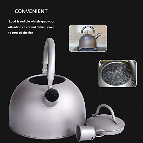 iBasingo 2L Titanium Whistling Tea Kettle