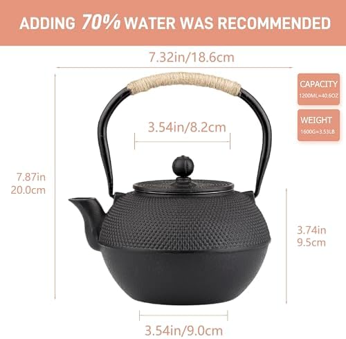 SECHUDIO Japanese Tetsubin Cast Iron Teapot 1200ml Black