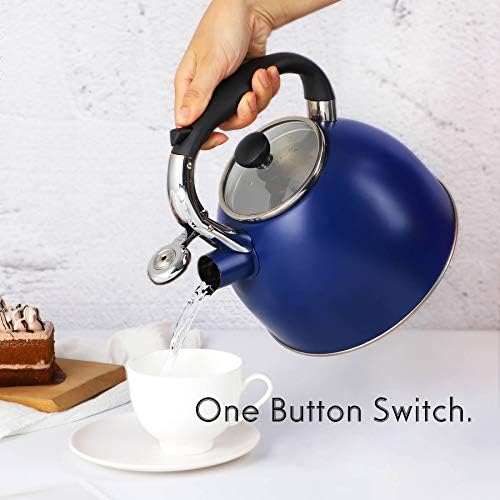 Vivid Design stainless steel tea kettle 26 Quart