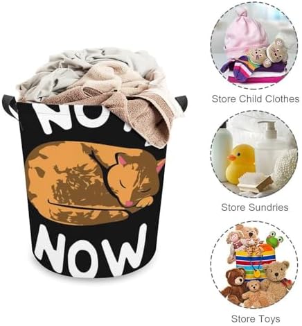 Effortlessly Clean Your Space with Our Cute Cat Lazy Laundry Basket