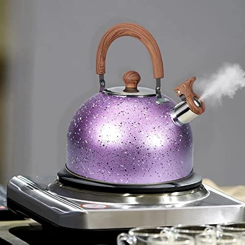 Sturdy Whistling Design Premium Stainless Steel Tea Kettle for Home Use