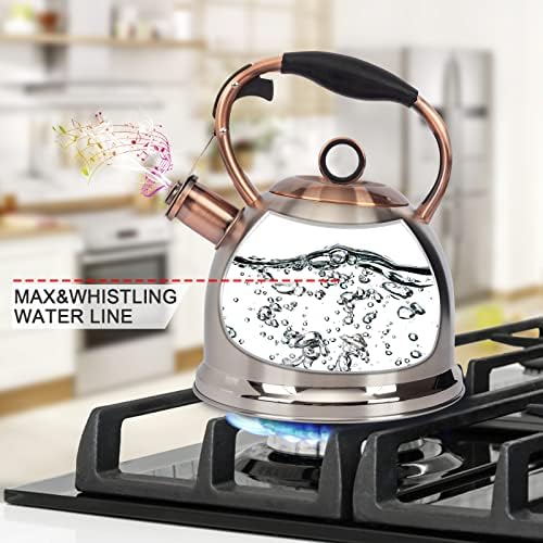 Lux Grace stainless steel whistle tea kettle