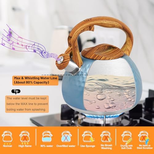 Sturdy 3 Qt Stainless Steel Whistling-Kettle