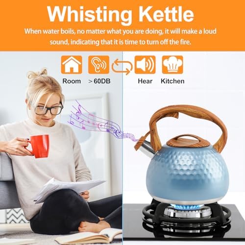Sturdy 3 Qt Stainless Steel Whistling-Kettle