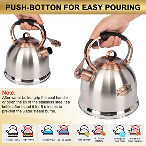 Lux Grace stainless steel whistle tea kettle