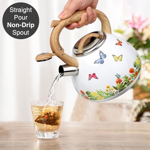 Toptier 27-Quart Tea Kettle with Whistle
