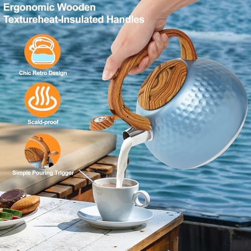 Sturdy 3 Qt Stainless Steel Whistling-Kettle