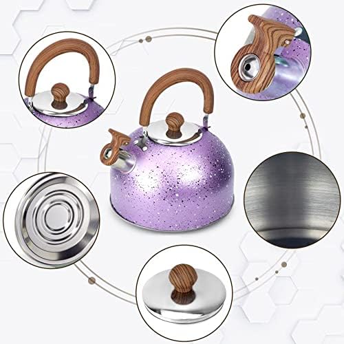 Sturdy Whistling Design Premium Stainless Steel Tea Kettle for Home Use