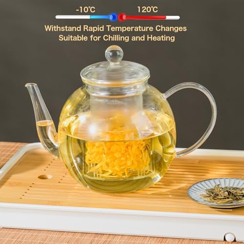1530ml Glass Teapot with Infuser