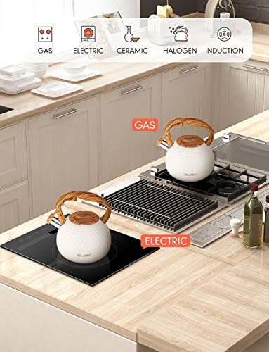 Stainless Steel Tea Kettle Effortlessly Boils 27 Quart