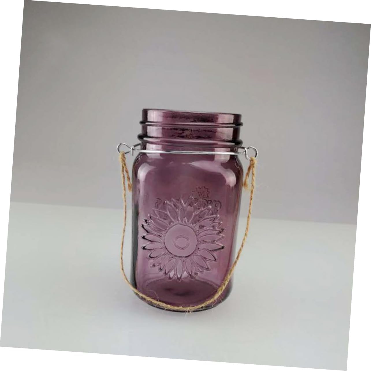 Hanging Mason Jar Rope Handles Heavy Duty Stainless Steel