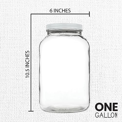 Sturdy Glass Jar with Lid for Fermenting Canning and Preservation - 1 Gallon