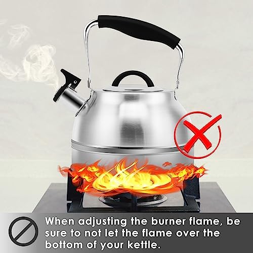 Rorence 3 Quart Stainless Steel Tea Kettle by Home Kitchen