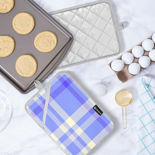 Kcldeci Check-in Blue and Lemon 2-Pack Pot Holder Set