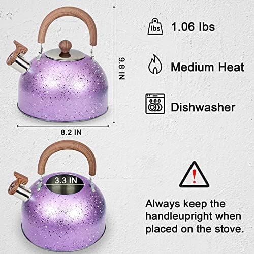 Sturdy Whistling Design Premium Stainless Steel Tea Kettle for Home Use