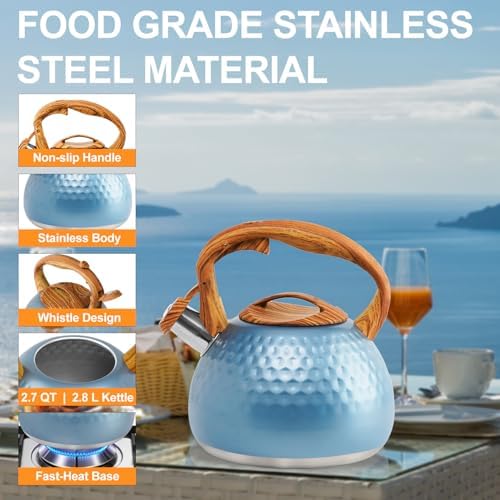 Sturdy 3 Qt Stainless Steel Whistling-Kettle