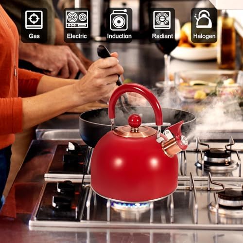 LARGE CAPACITY 85OZ26QT STEMLESS STEAK KETTLE