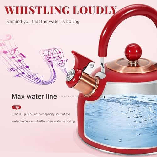 LARGE CAPACITY 85OZ26QT STEMLESS STEAK KETTLE