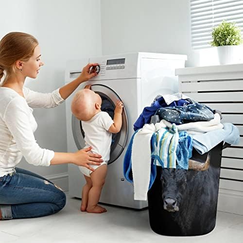 Premium Collapsible Laundry Hamper