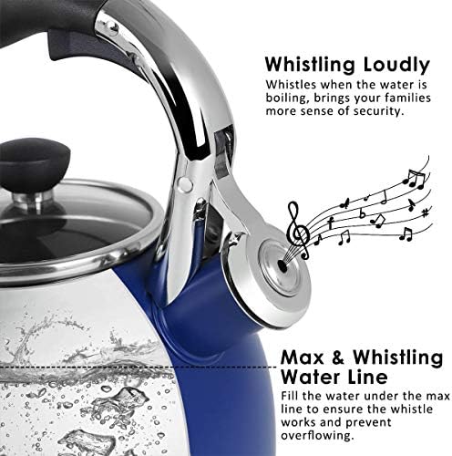 Vivid Design stainless steel tea kettle 26 Quart