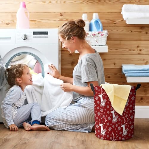 Seasonal Storage Solution for Laundries