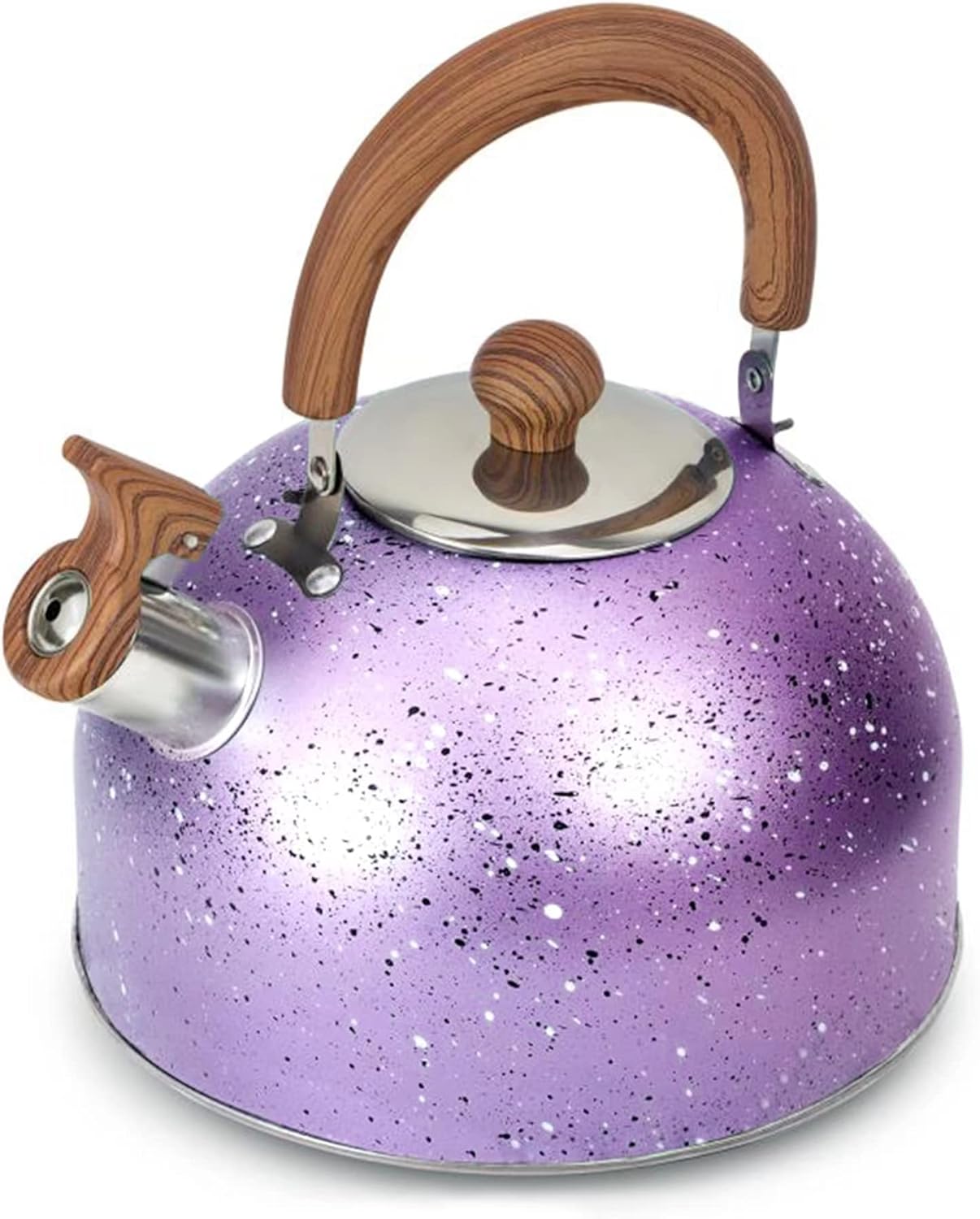Sturdy Whistling Design Premium Stainless Steel Tea Kettle for Home Use