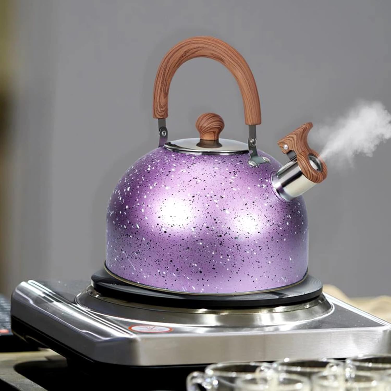 Sturdy Whistling Design Premium Stainless Steel Tea Kettle for Home Use