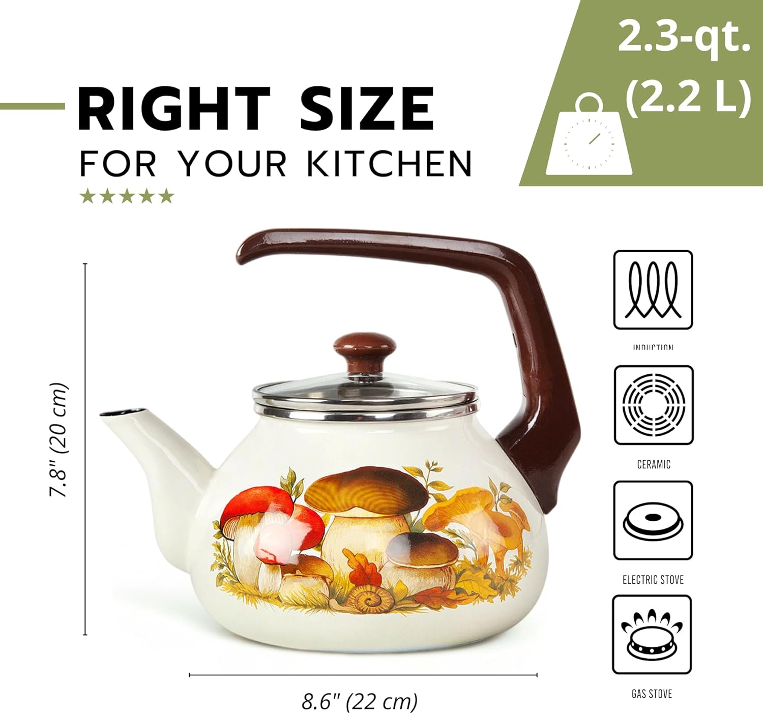Enameled Aluminum Tea Kettle