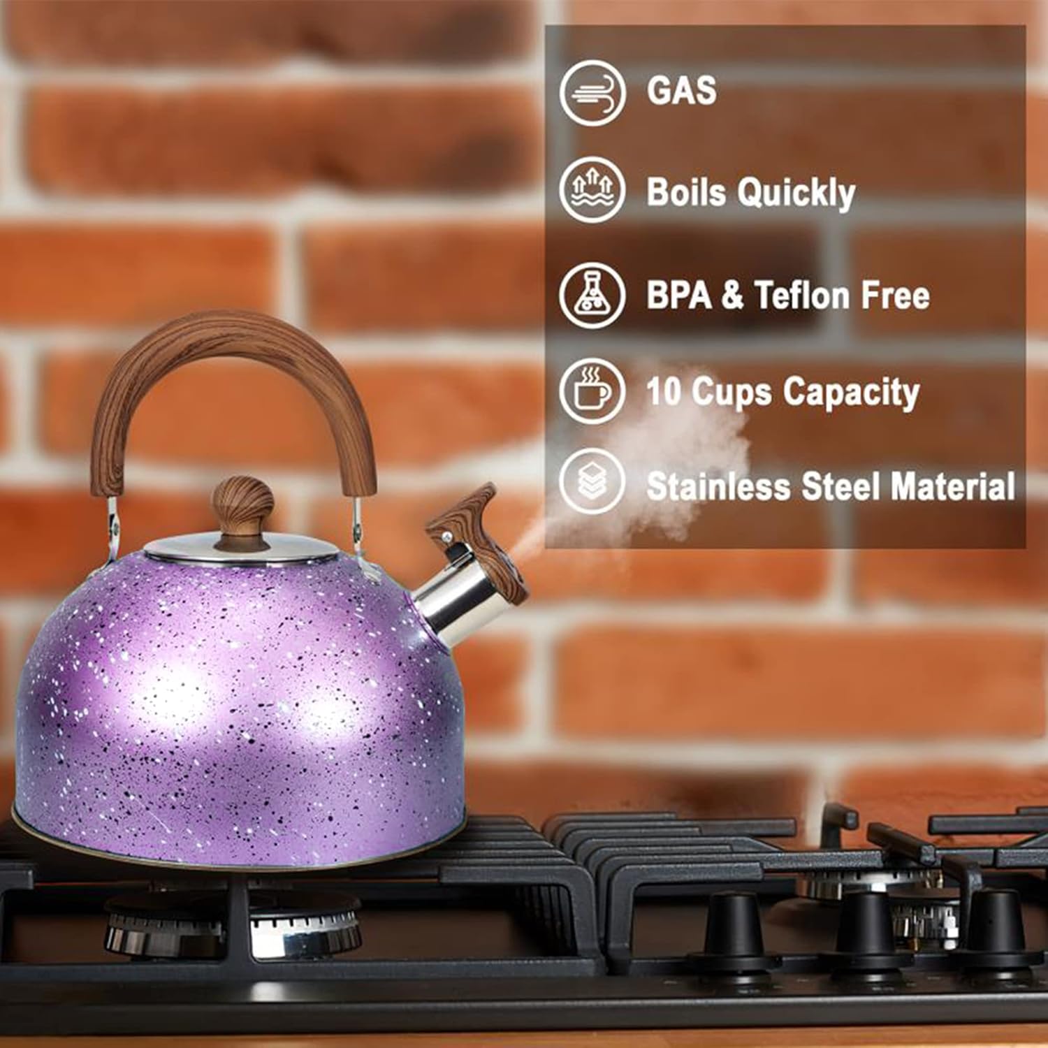 Sturdy Whistling Design Premium Stainless Steel Tea Kettle for Home Use