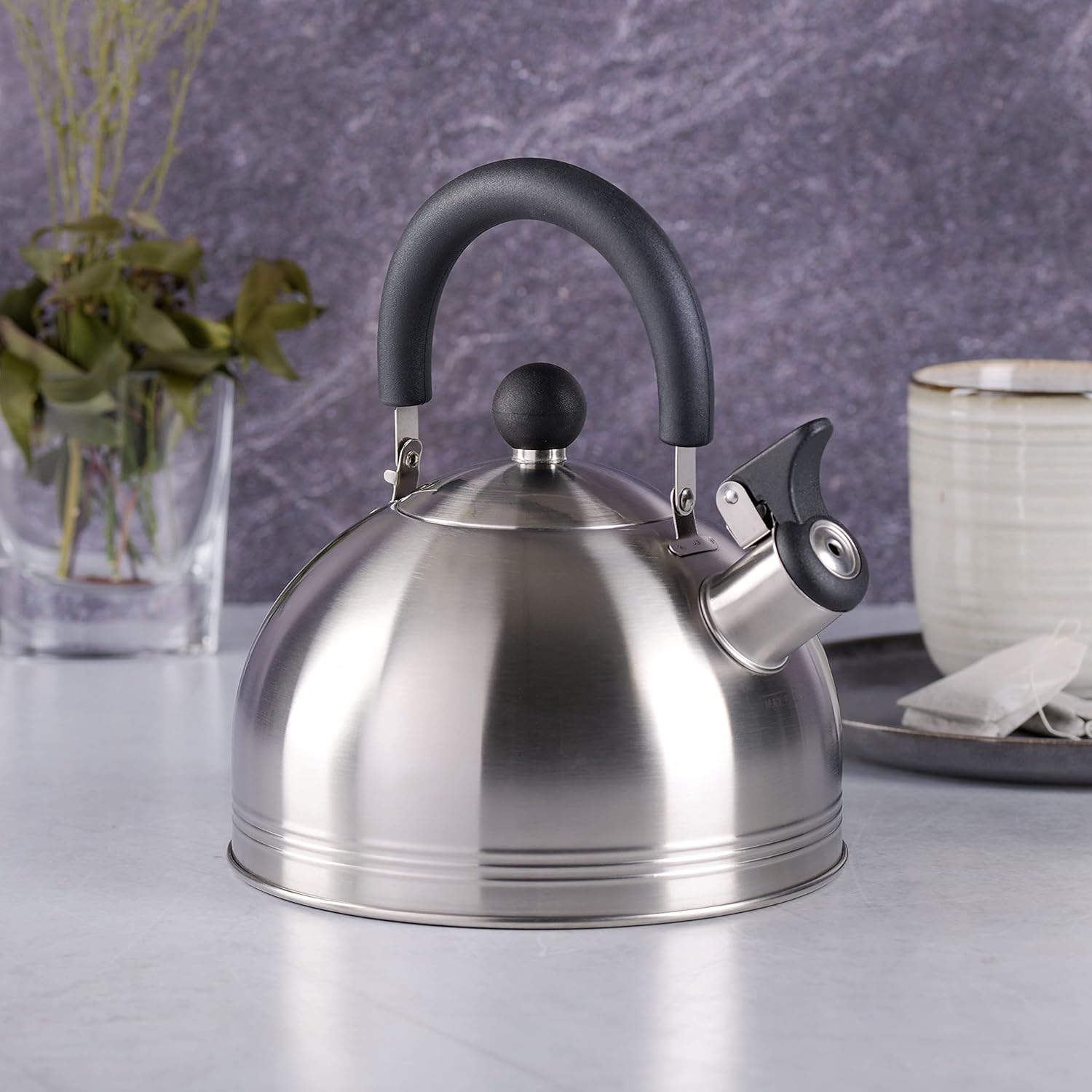 Mr Coffee Carterton Stainless Steel Tea Kettle with Whistle - 15 Quart